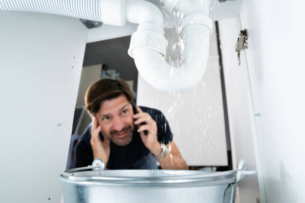 Best Local Plumber Services  in Elm Creek, NE